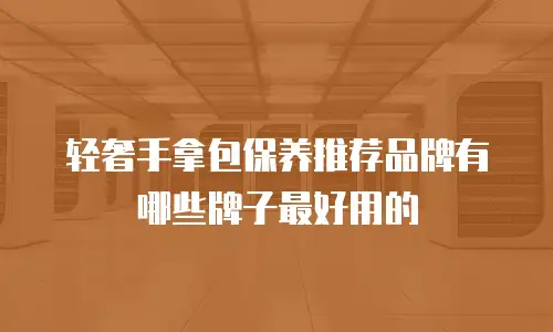 轻奢手拿包保养推荐品牌有哪些牌子最好用的