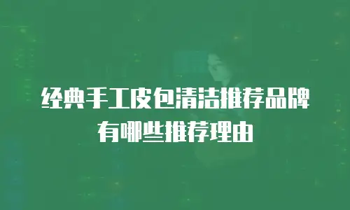 经典手工皮包清洁推荐品牌有哪些推荐理由
