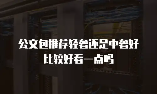 公文包推荐轻奢还是中奢好比较好看一点吗