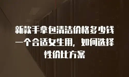 新款手拿包清洁价格多少钱一个合适女生用，如何选择性价比方案