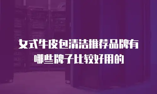 女式牛皮包清洁推荐品牌有哪些牌子比较好用的