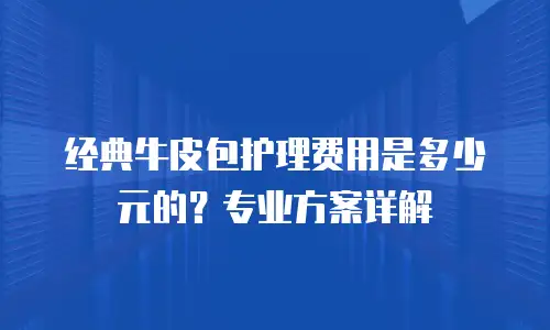 经典牛皮包护理费用是多少元的？专业方案详解