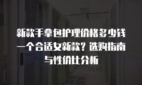 新款手拿包护理价格多少钱一个合适女新款？选购指南与性价比分析