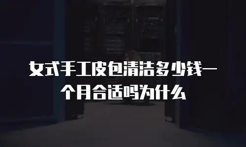 女式手工皮包清洁多少钱一个月合适吗为什么