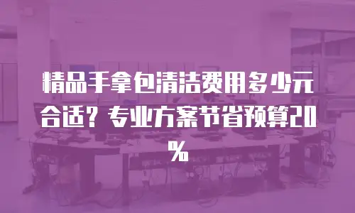 精品手拿包清洁费用多少元合适？专业方案节省预算20%
