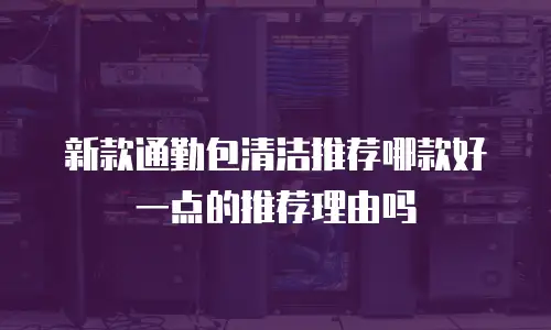 新款通勤包清洁推荐哪款好一点的推荐理由吗