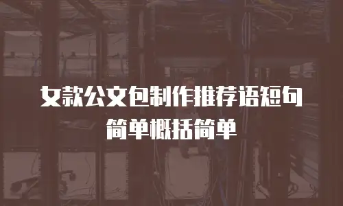 女款公文包制作推荐语短句简单概括简单