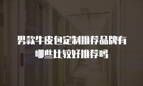男款牛皮包定制推荐品牌有哪些比较好推荐吗