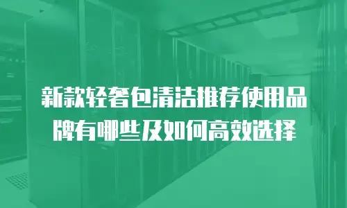 新款轻奢包清洁推荐使用品牌有哪些及如何高效选择