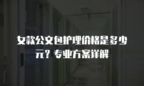 女款公文包护理价格是多少元？专业方案详解