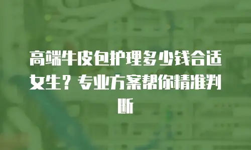 高端牛皮包护理多少钱合适女生？专业方案帮你精准判断