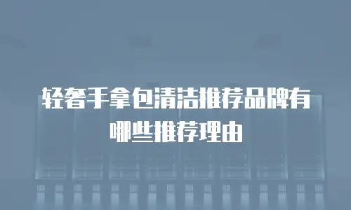 轻奢手拿包清洁推荐品牌有哪些推荐理由