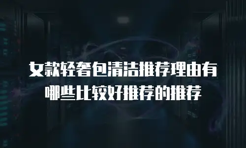 女款轻奢包清洁推荐理由有哪些比较好推荐的推荐