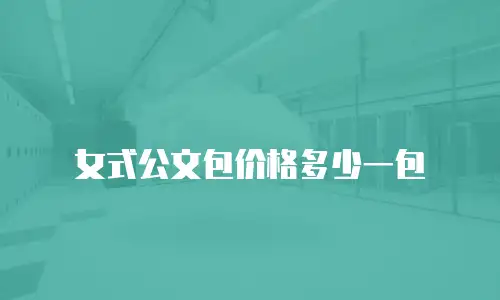 女式公文包价格多少一包
