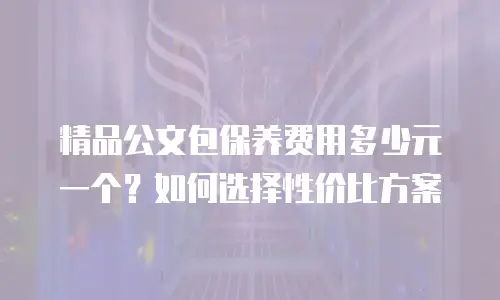 精品公文包保养费用多少元一个？如何选择性价比方案