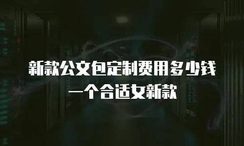 新款公文包定制费用多少钱一个合适女新款