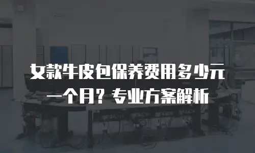 女款牛皮包保养费用多少元一个月？专业方案解析