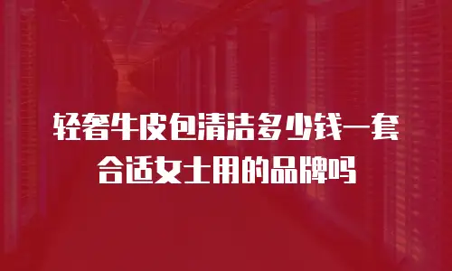 轻奢牛皮包清洁多少钱一套合适女士用的品牌吗