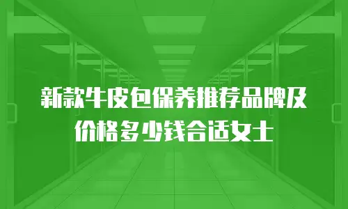 新款牛皮包保养推荐品牌及价格多少钱合适女士