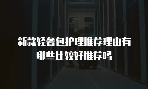 新款轻奢包护理推荐理由有哪些比较好推荐吗