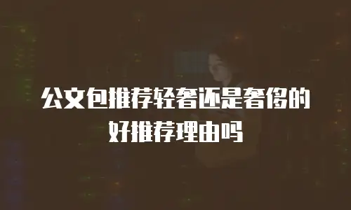 公文包推荐轻奢还是奢侈的好推荐理由吗