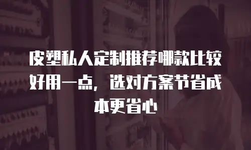 皮塑私人定制推荐哪款比较好用一点，选对方案节省成本更省心