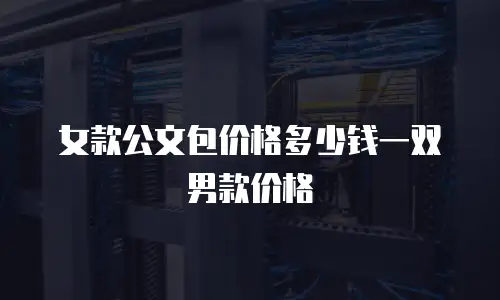 女款公文包价格多少钱一双男款价格