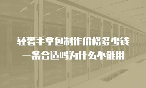 轻奢手拿包制作价格多少钱一条合适吗为什么不能用