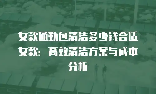 女款通勤包清洁多少钱合适女款：高效清洁方案与成本分析