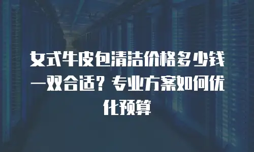 女式牛皮包清洁价格多少钱一双合适？专业方案如何优化预算