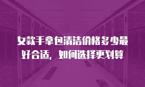 女款手拿包清洁价格多少最好合适，如何选择更划算