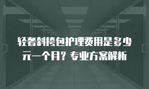 轻奢斜挎包护理费用是多少元一个月？专业方案解析
