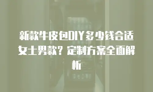 新款牛皮包DIY多少钱合适女士男款？定制方案全面解析