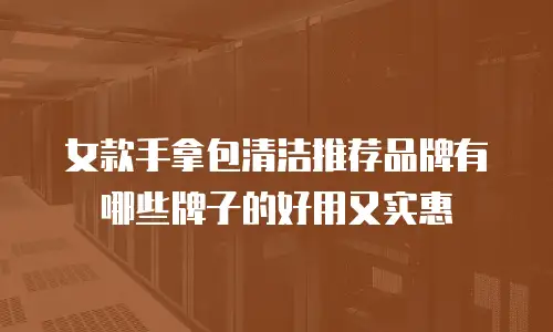 女款手拿包清洁推荐品牌有哪些牌子的好用又实惠
