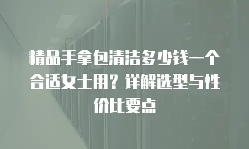 精品手拿包清洁多少钱一个合适女士用？详解选型与性价比要点