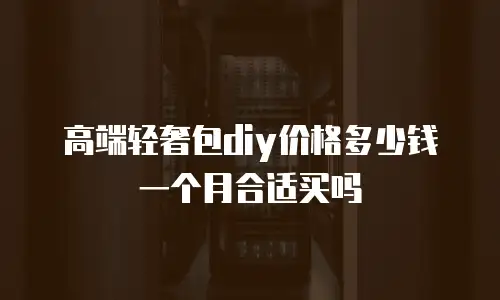 高端轻奢包diy价格多少钱一个月合适买吗