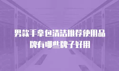 男款手拿包清洁推荐使用品牌有哪些牌子好用