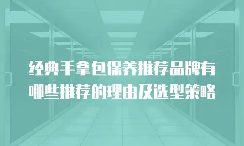 经典手拿包保养推荐品牌有哪些推荐的理由及选型策略