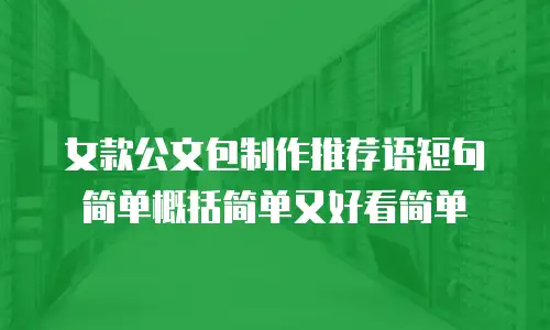 女款公文包制作推荐语短句简单概括简单又好看简单