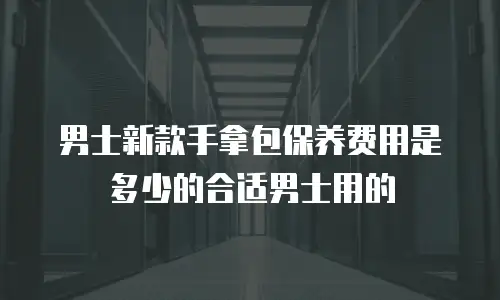 男士新款手拿包保养费用是多少的合适男士用的