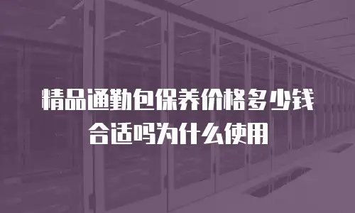 精品通勤包保养价格多少钱合适吗为什么使用