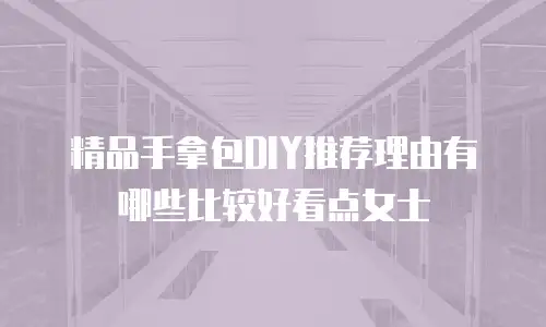 精品手拿包DIY推荐理由有哪些比较好看点女士