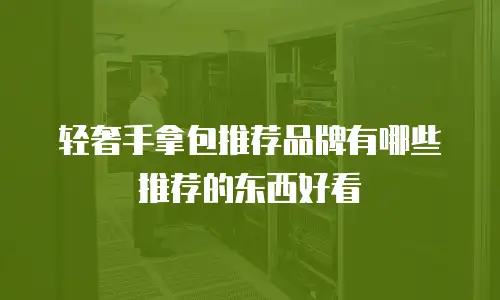 轻奢手拿包推荐品牌有哪些推荐的东西好看