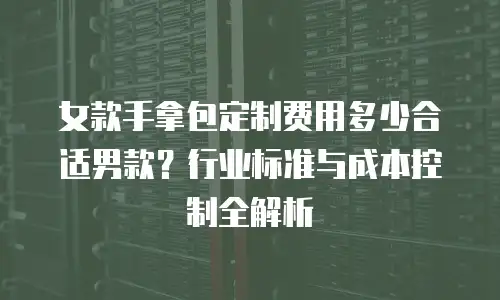 女款手拿包定制费用多少合适男款？行业标准与成本控制全解析