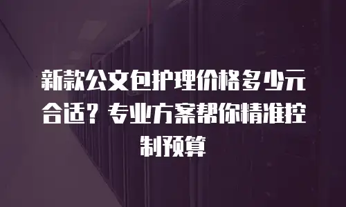 新款公文包护理价格多少元合适？专业方案帮你精准控制预算