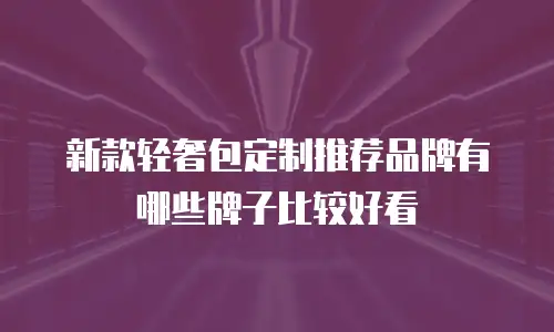 新款轻奢包定制推荐品牌有哪些牌子比较好看