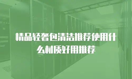 精品轻奢包清洁推荐使用什么材质好用推荐