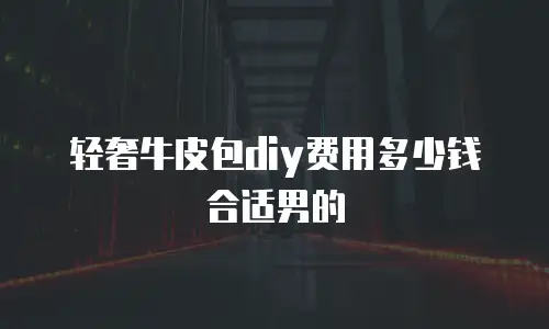 轻奢牛皮包diy费用多少钱合适男的