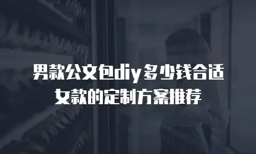 男款公文包diy多少钱合适女款的定制方案推荐