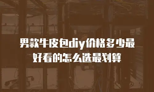 男款牛皮包diy价格多少最好看的怎么选最划算